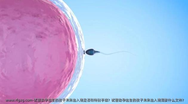 试管助孕出生的孩子未来出入境是否有特别手续？试管助孕出生的孩子未来出入境需要什么文件？