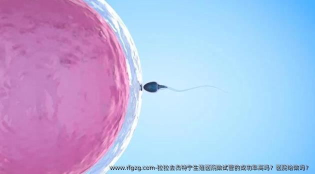 拉拉去杰特宁生殖医院做试管的成功率高吗？医院给做吗？