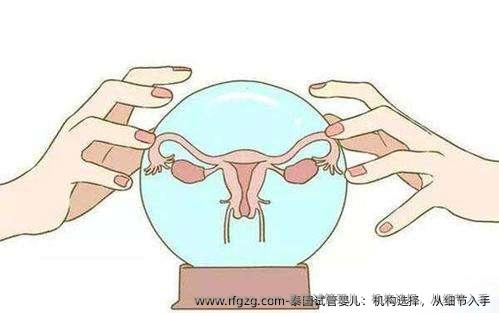 泰国试管婴儿：机构选择，从细节入手