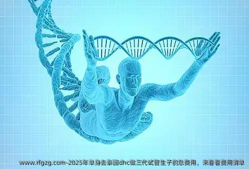2025年单身去泰国dhc做三代试管生子的总费用，来看看费用清单