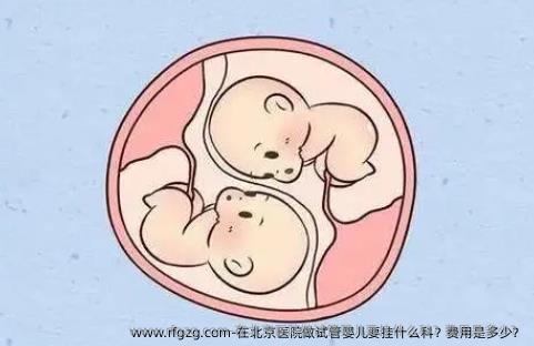 在北京医院做试管婴儿要挂什么科？费用是多少？