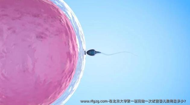 在北京大学第一医院做一次试管婴儿费用是多少？