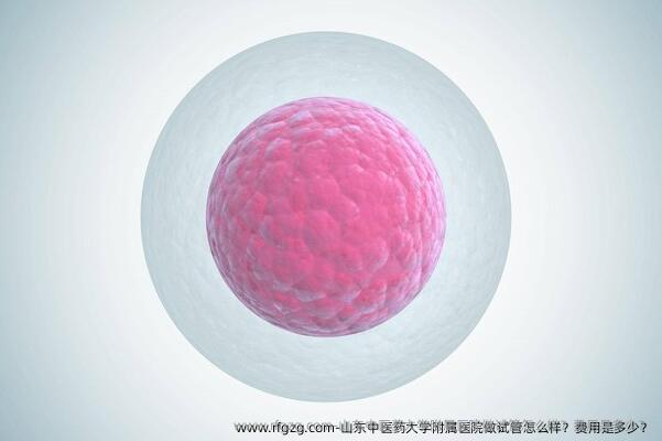 山东中医药大学附属医院做试管怎么样？费用是多少？