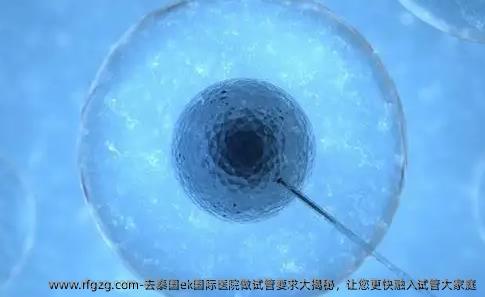 去泰国ek国际医院做试管要求大揭秘，让您更快融入试管大家庭