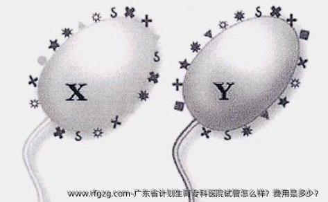广东省计划生育专科医院试管怎么样？费用是多少？