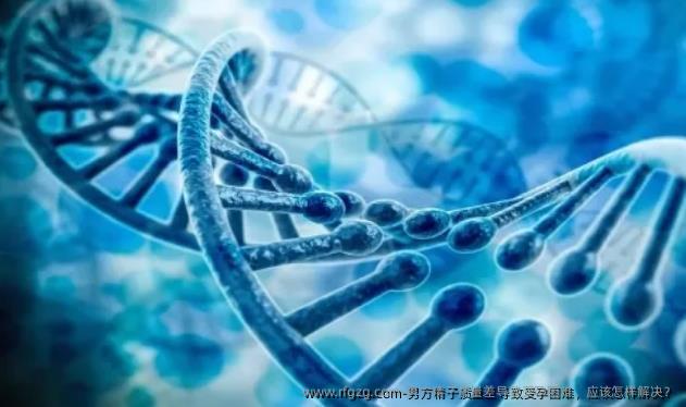 男方精子质量差导致受孕困难，应该怎样解决？