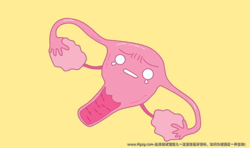 赴美做试管婴儿一定要准备好资料，如何办理签证一并告知！