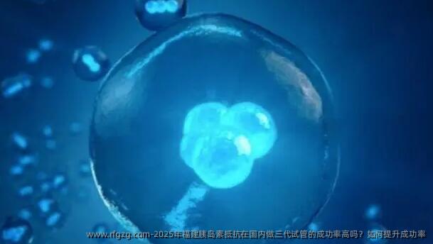 2025年福建胰岛素抵抗在国内做三代试管的成功率高吗？如何提升成功率