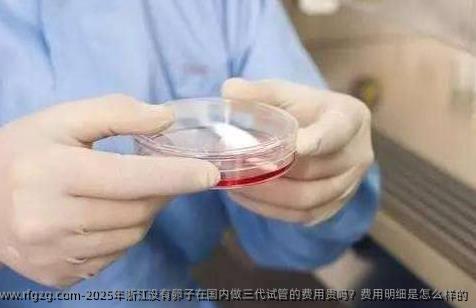 2025年浙江没有卵子在国内做三代试管的费用贵吗？费用明细是怎么样的