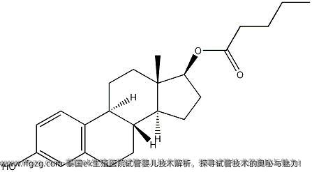 泰国ek生殖医院试管婴儿技术解析，探寻试管技术的奥秘与魅力！