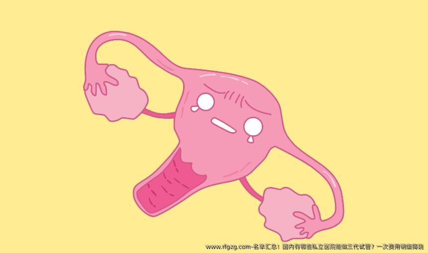 名单汇总！国内有哪些私立医院能做三代试管？一次费用明细揭晓