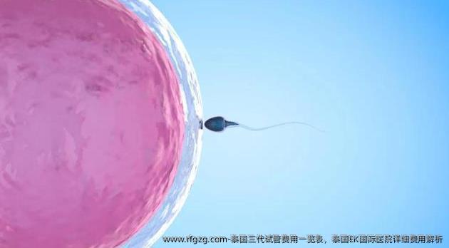 泰国三代试管费用一览表，泰国EK国际医院详细费用解析