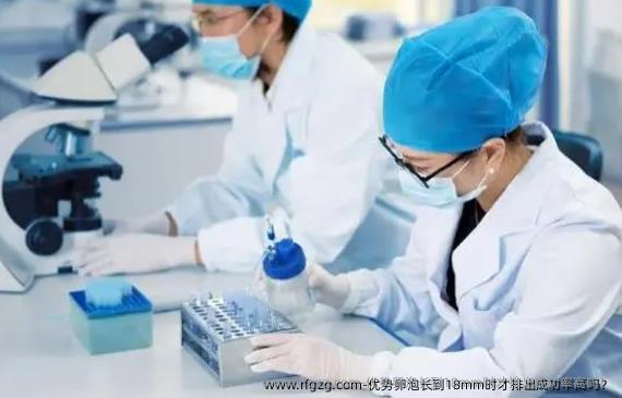 优势卵泡长到18mm时才排出成功率高吗？
