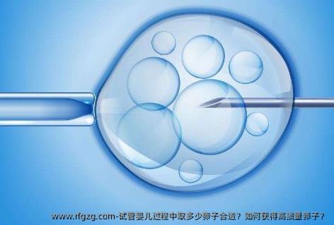 试管婴儿过程中取多少卵子合适？如何获得高质量卵子？