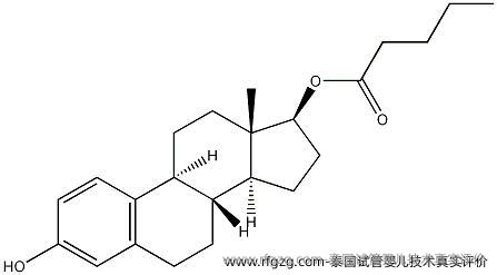泰国试管婴儿技术真实评价
