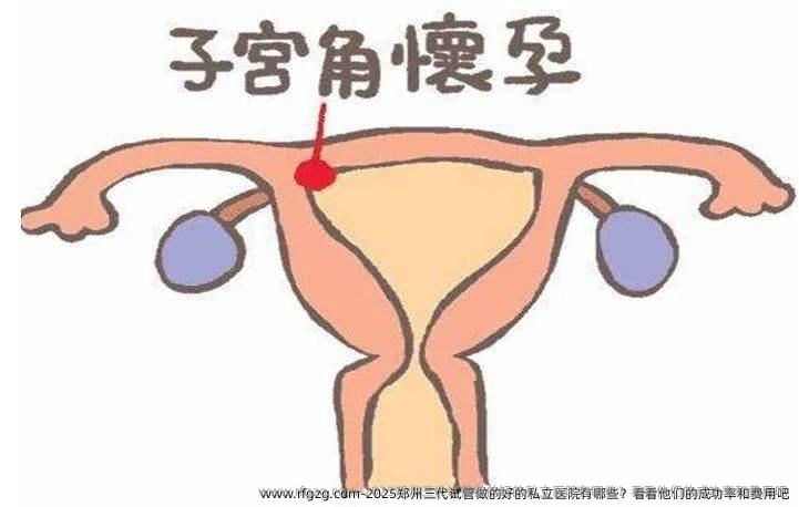 2025郑州三代试管做的好的私立医院有哪些？看看他们的成功率和费用吧