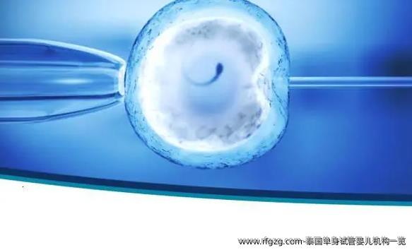 泰国单身试管婴儿机构一览