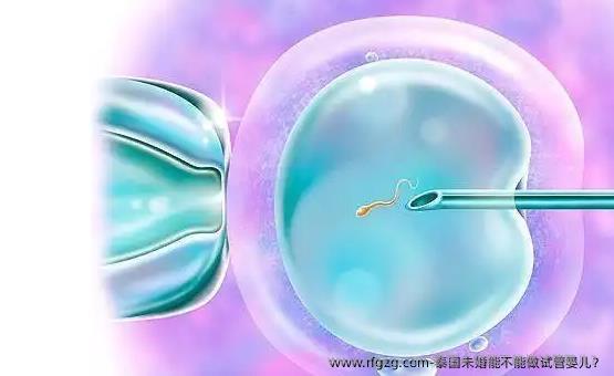 泰国未婚能不能做试管婴儿？