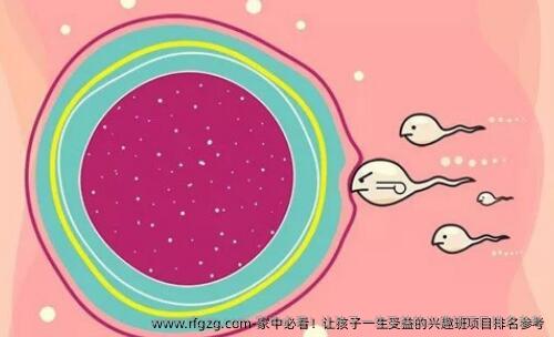 家中必看！让孩子一生受益的兴趣班项目排名参考