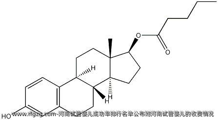 河南试管婴儿成功率排行名单公布附河南试管婴儿的收费情况