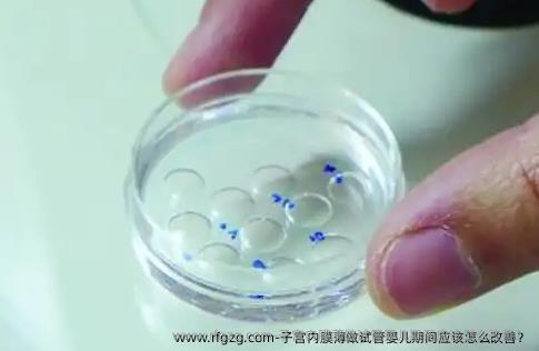 子宫内膜薄做试管婴儿期间应该怎么改善？