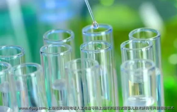 上海同济医院电话人工电话号码上海同济医院试管婴儿技术好吗可开展哪些技术