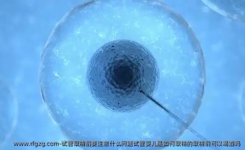 试管取精前要注意什么问题试管婴儿是如何取精的取精前可以喝酒吗