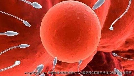 男性梅毒早期症状图片大全最早男性梅毒早期症状表现部位在哪里