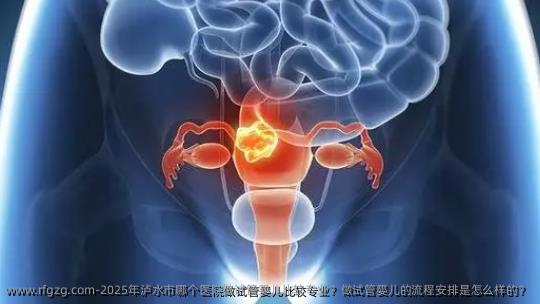 2025年泸水市哪个医院做试管婴儿比较专业？做试管婴儿的流程安排是怎么样的？