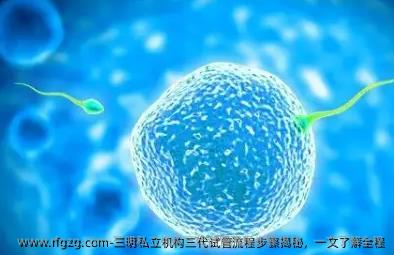 三明私立机构三代试管流程步骤揭秘，一文了解全程