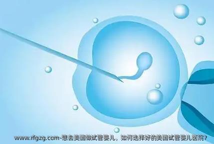想去美国做试管婴儿，如何选择好的美国试管婴儿医院？