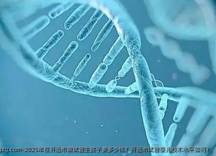 2025年在开远市做试管生孩子要多少钱？开远市试管婴儿技术水平如何？