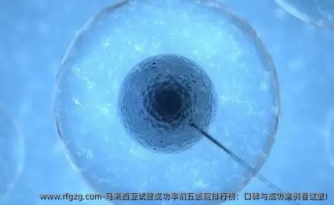 马来西亚试管成功率前五医院排行榜：口碑与成功案例看这里!