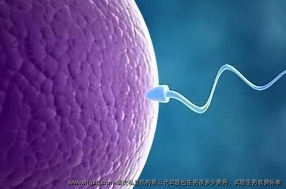 肇庆私立机构第三代试管生孩子多少费用，试管生孩子收费标准