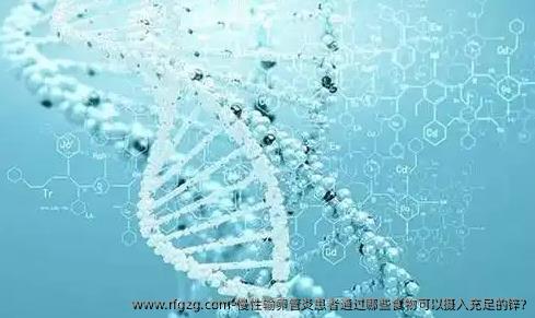 慢性输卵管炎患者通过哪些食物可以摄入充足的锌?