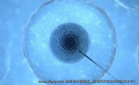 选择海外试管时，应如何评估诊所的技术水平？