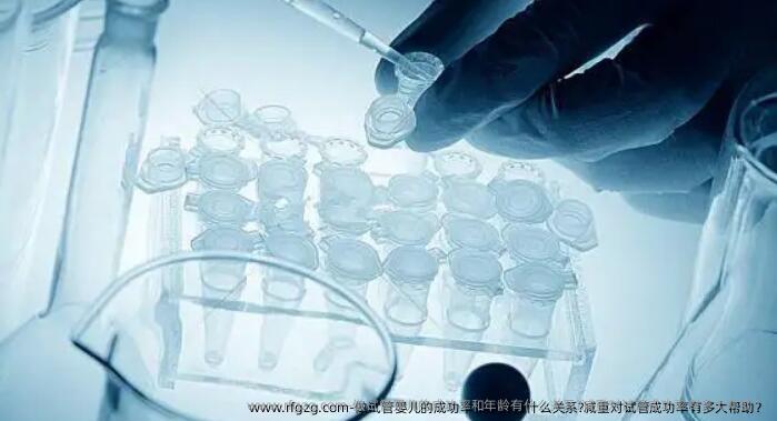做试管婴儿的成功率和年龄有什么关系?减重对试管成功率有多大帮助？
