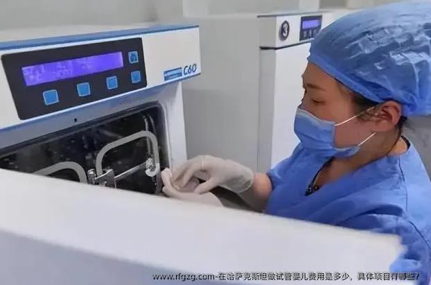 在哈萨克斯坦做试管婴儿费用是多少，具体项目有哪些？