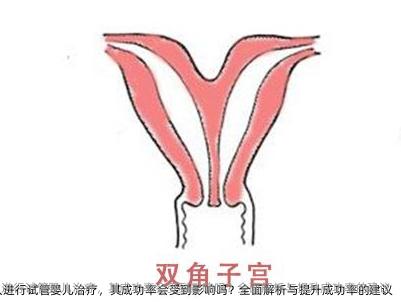 体重超标的人进行试管婴儿治疗，其成功率会受到影响吗？全面解析与提升成功率的建议