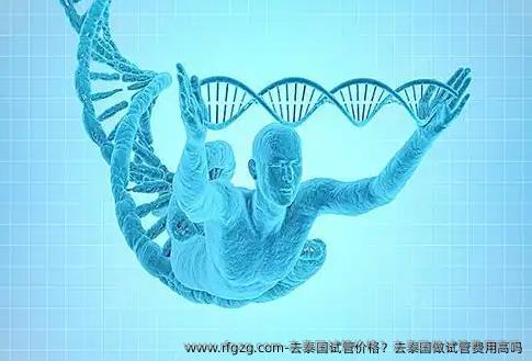 去泰国试管价格？去泰国做试管费用高吗