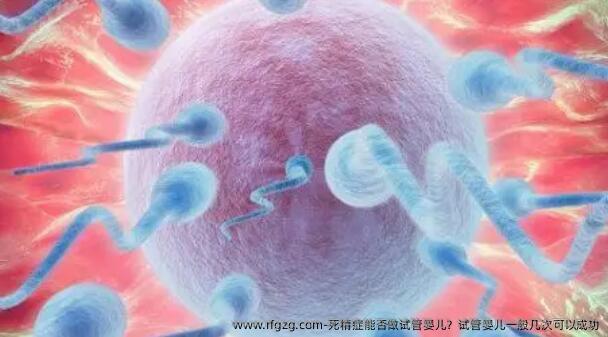 死精症能否做试管婴儿？试管婴儿一般几次可以成功