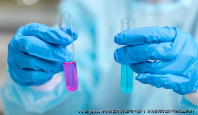 泰国试管婴儿成功率高吗？泰国试管哪家医院好怎么联系？