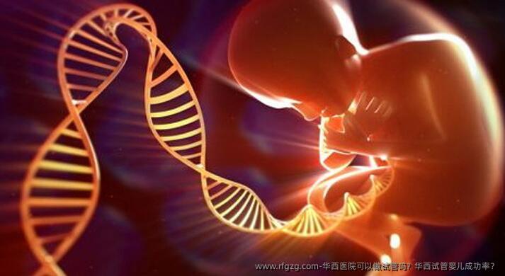 华西医院可以做试管吗？华西试管婴儿成功率？