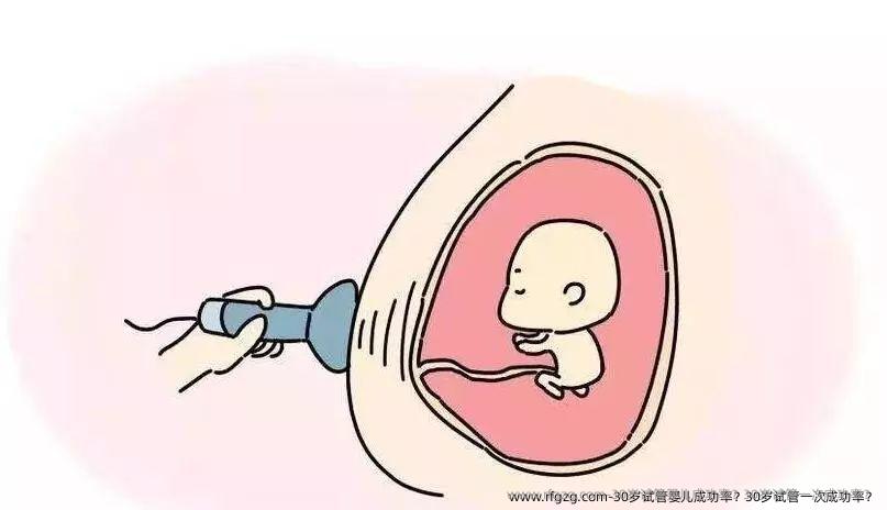 30岁试管婴儿成功率？30岁试管初次成功率？