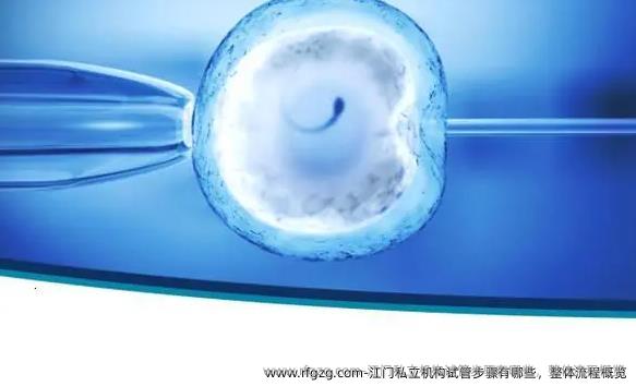 江门私立机构试管步骤有哪些，整体流程概览