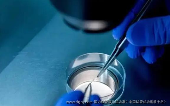 国内试管婴儿成功率？国内试管成功率前十名？