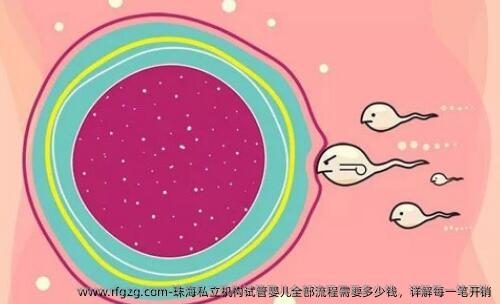 珠海私立机构试管婴儿全部流程需要多少钱，详解每一笔开销
