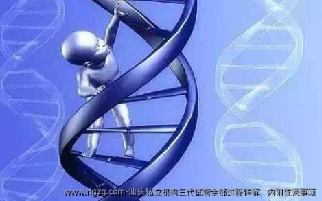 汕头私立机构三代试管全部过程详解，内附注意事项