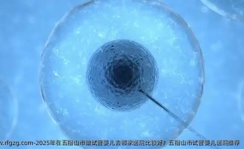 2025年在五指山市做试管婴儿去哪家医院比较好？五指山市试管婴儿医院推荐