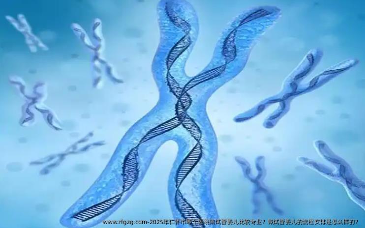 2025年仁怀市哪个医院做试管婴儿比较专业？做试管婴儿的流程安排是怎么样的？